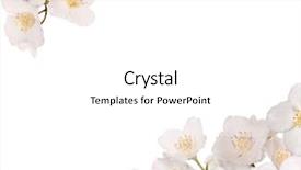  Presentation with flower corner - Theme consisting of jasmin flowers corner isolated background and a white colored foreground