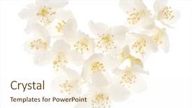 Presentation with jasmine flower - Audience pleasing presentation theme consisting of jasmine flower heart isolated backdrop and a cream colored foreground
