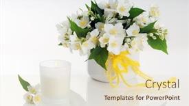  Presentation with jasmine - Beautiful PPT theme featuring jasmine flowers arrangement backdrop and a lemonade colored foreground