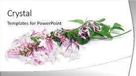  Presentation with jasmine flower - Cool new presentation with lookout over loch ness overshadowed backdrop and a tawny brown colored foreground