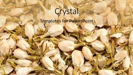  Presentation with jasmine - Audience pleasing slides consisting of jasmine-flowers-tea-on-white backdrop and a yellow colored foreground