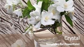  Presentation with jasmine - PPT theme with jasmine flowers with leaves over old wooden table background and a coral colored foreground