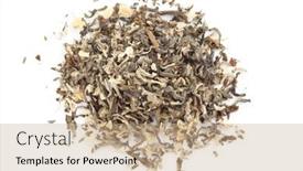  Presentation with jasmine - Slides with jasmine-oolong-chinese-tea-shot background and a coral colored foreground