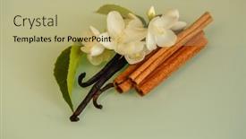  Presentation with jasmine - Beautiful PPT theme featuring jasmine-vanilla-and-cinnamon-cooking backdrop and a mint green colored foreground