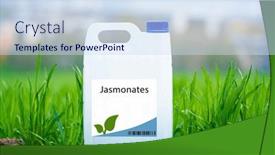  Presentation with promote - Slide deck featuring jasmonates-plant-hormones-that-regulate background and a sky blue colored foreground