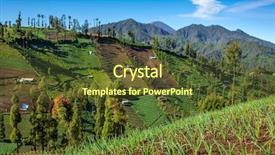  Presentation with crops - Cool new presentation theme with jawa - vegetable crops on the hilly backdrop and a tawny brown colored foreground