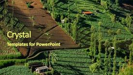  Presentation with crops - Colorful presentation enhanced with jawa - vegetable crops on the hilly backdrop and a tawny brown colored foreground