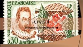  Presentation with nicotine - Slides with jean nicot who introduced tobacco background and a coral colored foreground