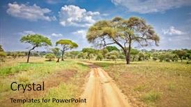  Presentation with jeep car - Audience pleasing presentation theme consisting of jeep car - huge african trees in tanzania backdrop and a yellow colored foreground