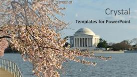  Presentation with cherry blossom - Audience pleasing presentation design consisting of jefferson-memorial-and-cherry-blossoms backdrop and a light blue colored foreground