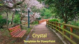  Presentation with trail - Colorful PPT theme enhanced with jeju island south korea backdrop and a tawny brown colored foreground