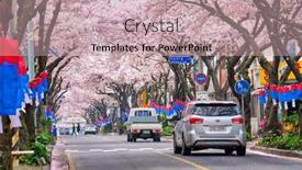  Presentation with sakura - Audience pleasing PPT layouts consisting of jeju-south-korea-april-9 backdrop and a coral colored foreground