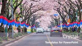  Presentation with sakura - Presentation theme featuring jeju-south-korea-april-9 background and a gray colored foreground