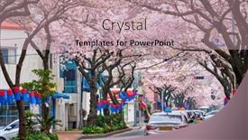  Presentation with sakura - Presentation enhanced with jeju-south-korea-april-9 background and a coral colored foreground