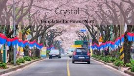  Presentation with sakura - Amazing PPT layouts having jeju-south-korea-april-9 backdrop and a coral colored foreground