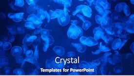  Presentation with water tank - Theme with jelly-fish-swim-in-water background and a royal blue colored foreground