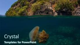  Presentation with jellyfish - Audience pleasing slide deck consisting of jellyfish-and-island-half backdrop and a navy blue colored foreground