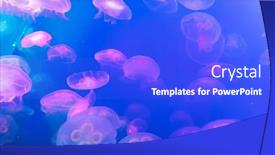  Presentation with jellyfish - Presentation design with jellyfish-at-the-bottom background and a cobalt blue colored foreground