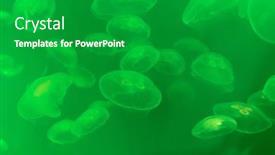  Presentation with jellyfish - Slide set having jellyfish-at-the-bottom background and a shamrock green colored foreground