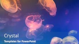  Presentation with jellyfish - Presentation theme featuring jellyfish-at-the-bottom background and a ocean colored foreground