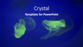  Presentation with jellyfish - Beautiful PPT theme featuring jellyfish-blue-background backdrop and a navy blue colored foreground