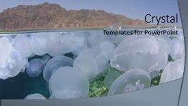  Presentation with jellyfish - Theme enhanced with jellyfish half and half photo background and a  colored foreground