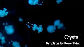  Presentation with medusa - Theme with jellyfish medusa background and a black colored foreground
