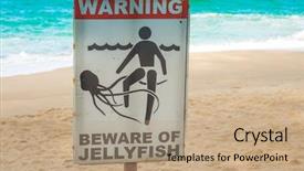  Presentation with jellyfish - Slide set with jellyfish warning sign at beach background and a coral colored foreground