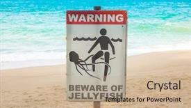  Presentation with jellyfish - Cool new presentation theme with jellyfish warning sign at beach backdrop and a coral colored foreground