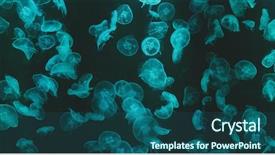  Presentation with light green - Colorful presentation theme enhanced with jellyfish with green light backdrop and a ocean colored foreground