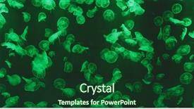  Presentation with light green - Audience pleasing presentation consisting of jellyfish with green light backdrop and a forest green colored foreground