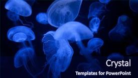  Presentation with jellyfish - Amazing theme having jellyfishes with illuminated light swimming backdrop and a navy blue colored foreground