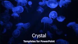  Presentation with illuminated - Presentation with jellyfishes with illuminated light swimming background and a navy blue colored foreground