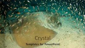  Presentation with gamma ray particle accelerator - Amazing PPT theme having jenkin-s-stingray-whipray backdrop and a yellow colored foreground