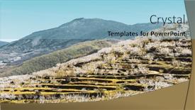  Presentation with cherry blossom - PPT theme having jerte-vale-estramadura-in-spain background and a light blue colored foreground