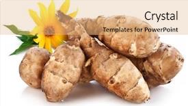  Presentation with jerusalem - Beautiful presentation design featuring jerusalem artichoke on a white background backdrop and a coral colored foreground