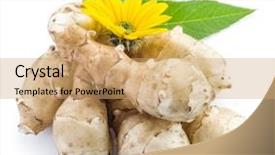  Presentation with jerusalem - Beautiful presentation design featuring jerusalem artichoke on a white backdrop and a coral colored foreground