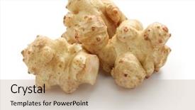  Presentation with jerusalem - Slides having inulin - jerusalem artichoke sunchoke sunroot isolated background and a coral colored foreground
