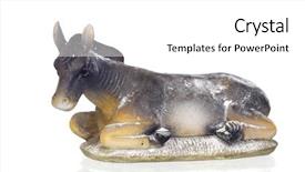  Presentation with mule - PPT theme consisting of jesus donkey - figure of a mule background and a white colored foreground