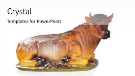  Presentation with nativity - Colorful presentation design enhanced with oxen - figure of a big ox backdrop and a white colored foreground