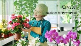  Presentation with jewelry - PPT theme consisting of jewelry background and a seafoam green colored foreground