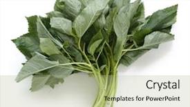  Presentation with spinach - PPT theme having jews - molokhia egyptian spinach leaf vegetable background and a mint green colored foreground