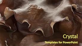  Presentation with ear - Amazing slide deck having jews ear mushrooms close up backdrop and a tawny brown colored foreground