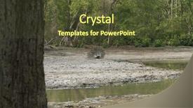  Presentation with peacock - Cool new slide deck with jim corbett national park nainital backdrop and a  colored foreground