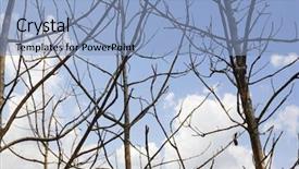  Presentation with national - Colorful PPT theme enhanced with jim corbett national park nainital backdrop and a  colored foreground