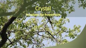  Presentation with india - Presentation theme featuring jim corbett national park nainital background and a tawny brown colored foreground