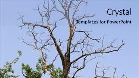  Presentation with india - Presentation with jim corbett national park nainital background and a  colored foreground