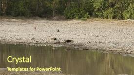  Presentation with water farming almond trees - Slide set having jim corbett national park nainital background and a  colored foreground