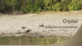 Presentation with pond - Audience pleasing presentation design consisting of jim corbett national park nainital backdrop and a  colored foreground