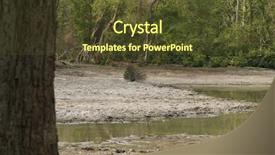  Presentation with peacock - Presentation design enhanced with jim corbett national park nainital background and a  colored foreground